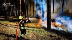 Пять лесных пожаров погасили на Изюмщине, еще три пытаются остановить