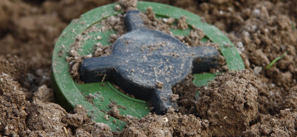 На протипіхотній міні підірвався чоловік на Харківщині