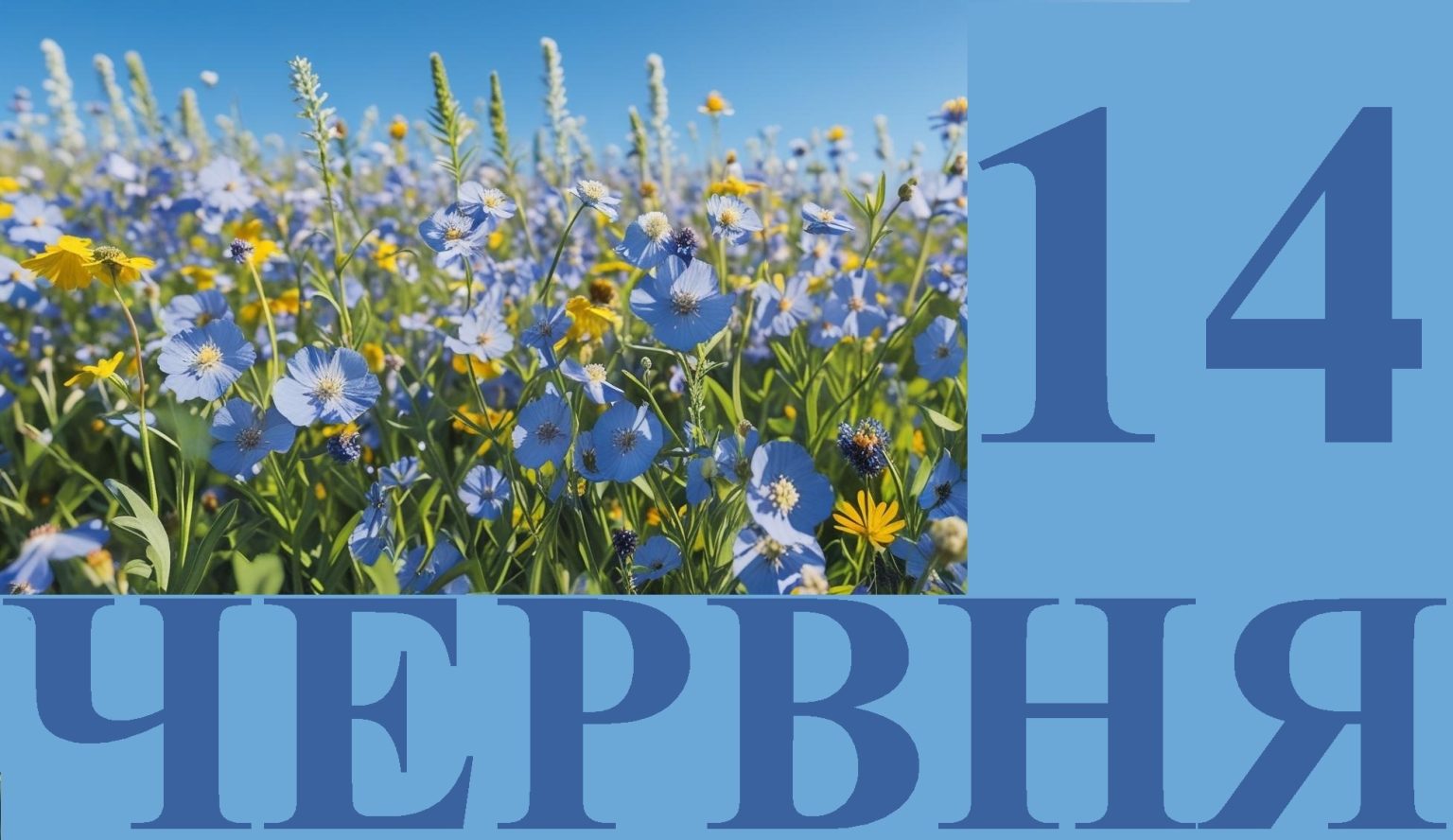 Сегодня 14 июня: какой праздник и день в истории