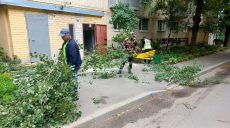 Последствия непогоды в Харькове: 33 дерева ветер повредил в городе (фото)