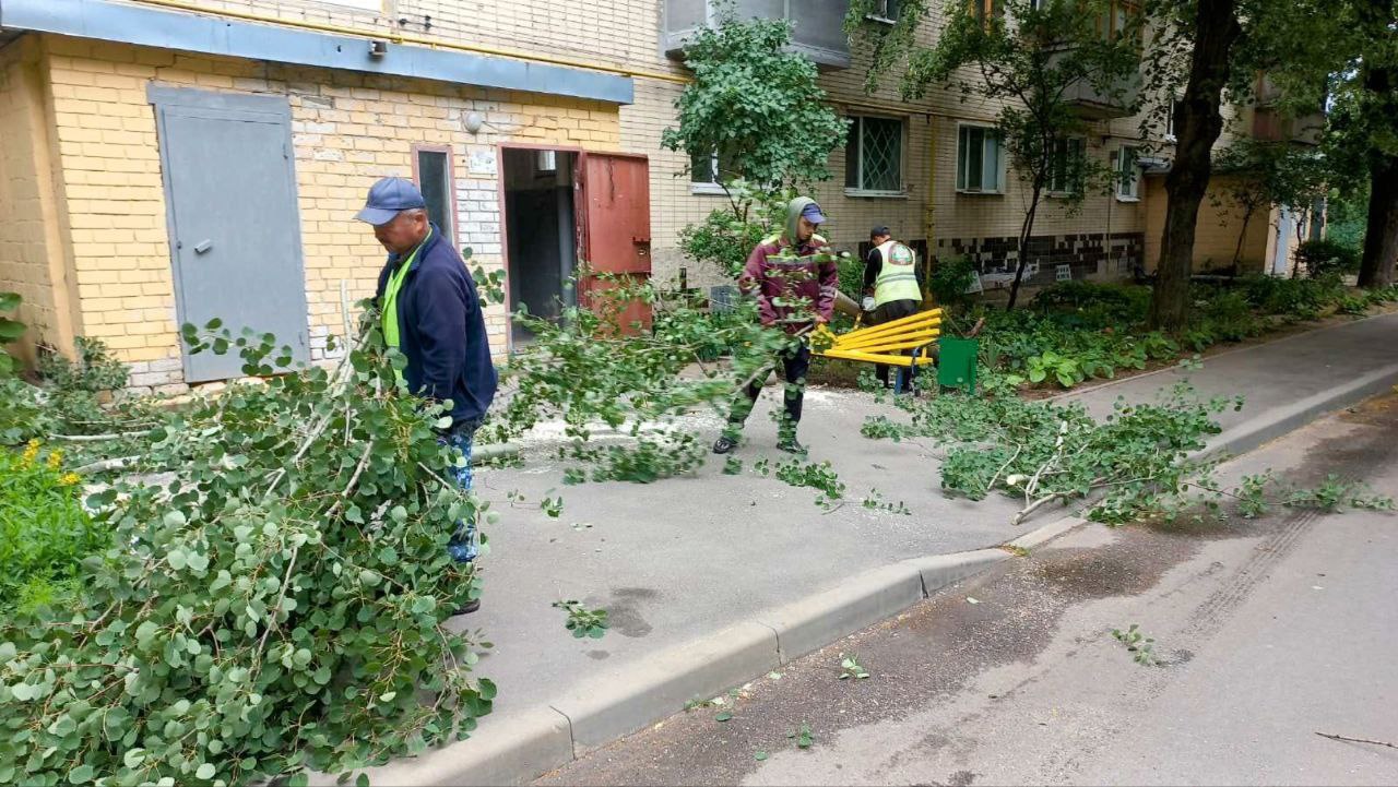 Последствия непогоды в Харькове: 33 дерева ветер повредил в городе (фото)