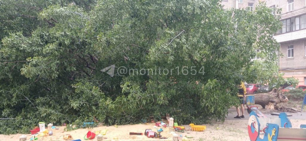 ветер повалил дерево в Харькове
