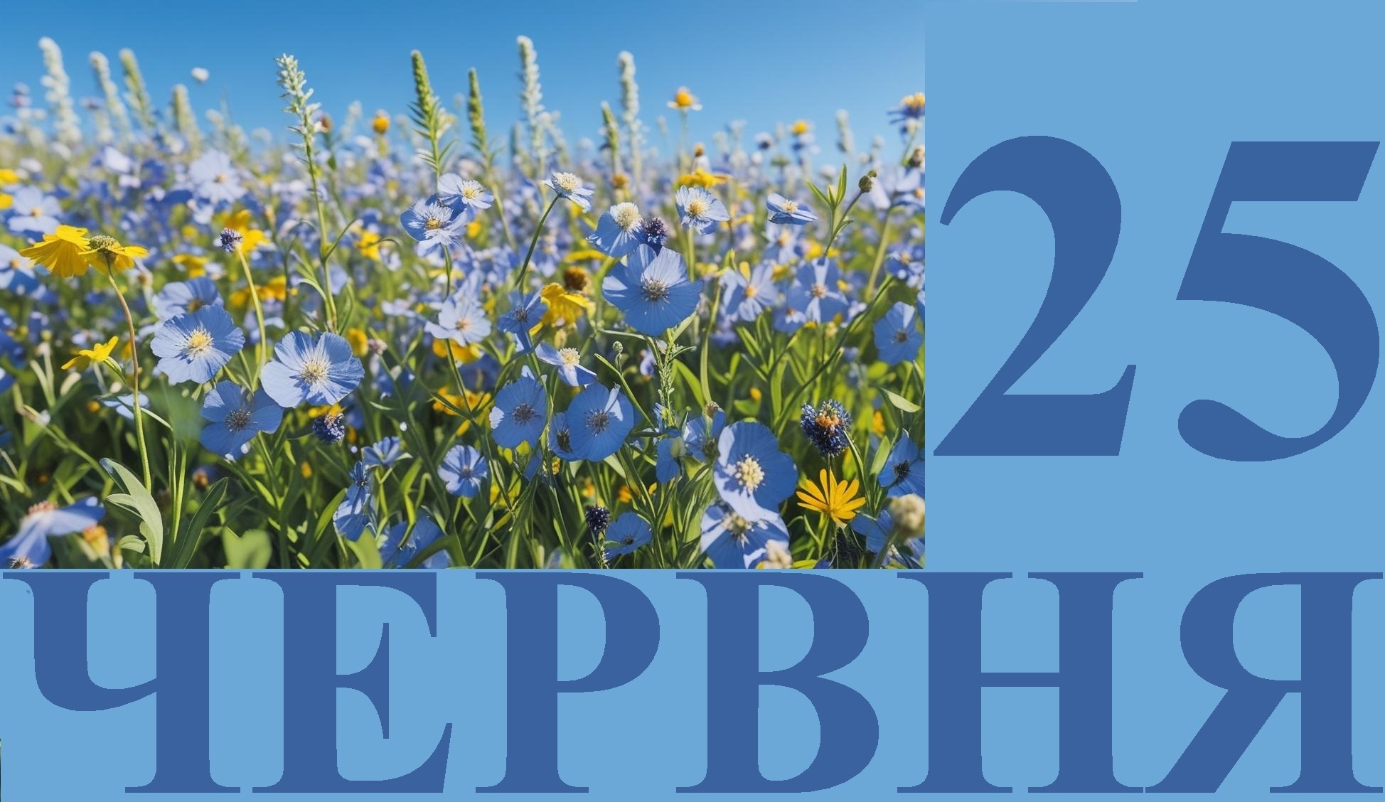 Сегодня 25 июня: какой праздник и день в истории