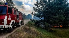 На Изюмщине горят леса: спасатели тушат восемь пожаров (фото)