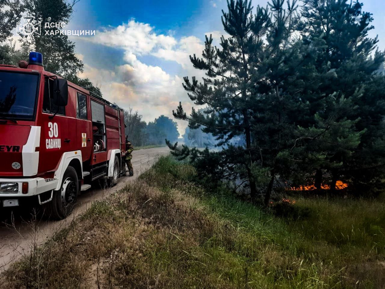 На Ізюмщині горіли ліси: рятувальники загасили вісім пожеж (фото)