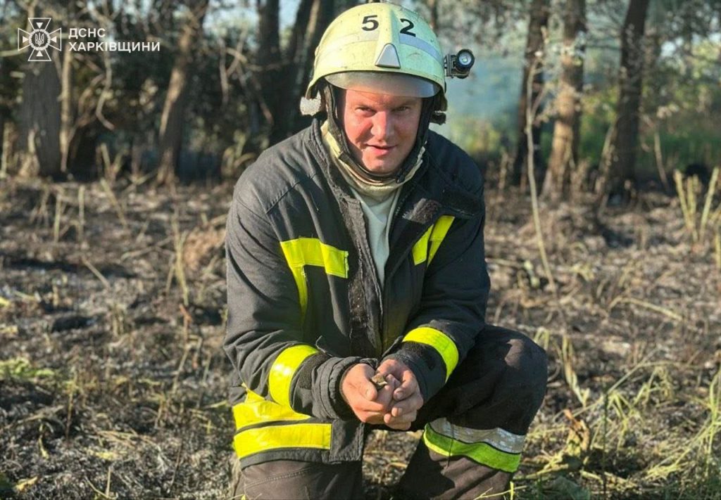 Птенца спасли во время пожара на Харьковщине (фото)