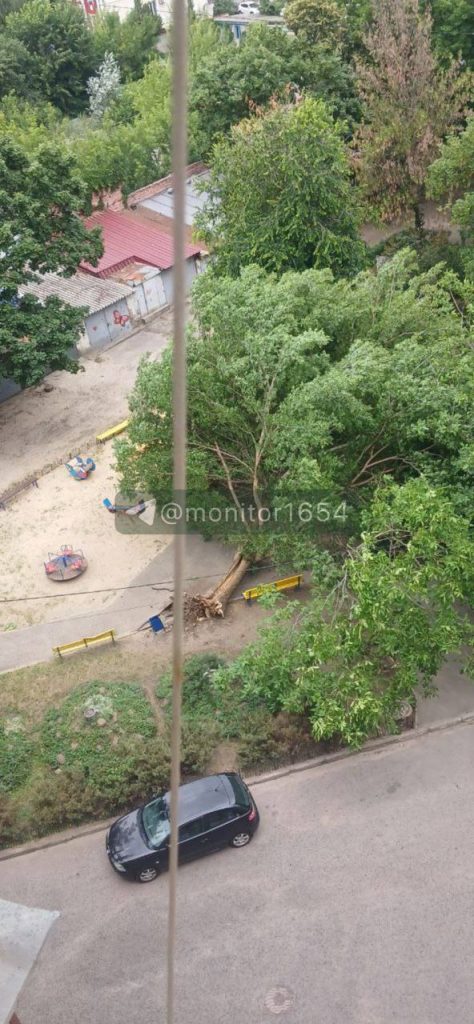 ветер повалил дерево в Харькове