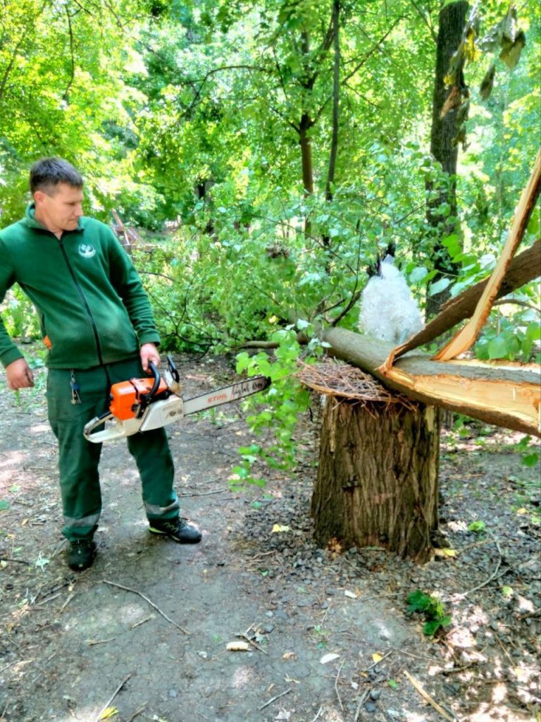 последствия ветра в Харькове