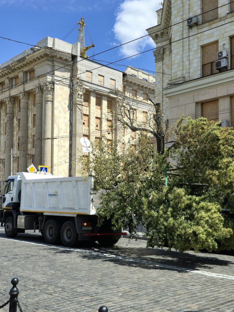 липу высадили в Харькове