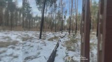 Земельные махинации на Харьковщине: почему громада недополучила 15 миллионов