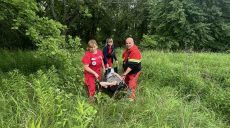 Бригада «скорой» километр несла женщину через лес под Харьковом: что случилось