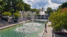 Какими деревьями засадят центральные улицы Харькова
