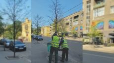 В центре Харькова начали срезать деревья: зачем и высадят ли новые (фото)