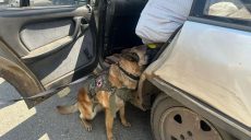 «Вишенка на торте»: мужчина пытался перевезти в Рогань четыре ФАБа – НГУ