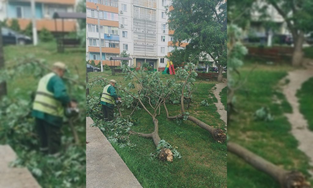 40 деревьев повалил ветер в Харькове, коммунальщики работали до ночи (фото)