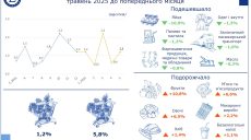 Фрукты, овощи и мясо подорожали на Харьковщине, яйца упали в цене – облстат