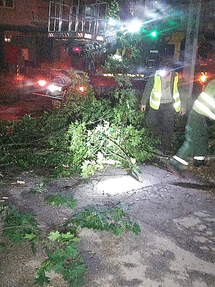 ветер повалил деревья в Харькове