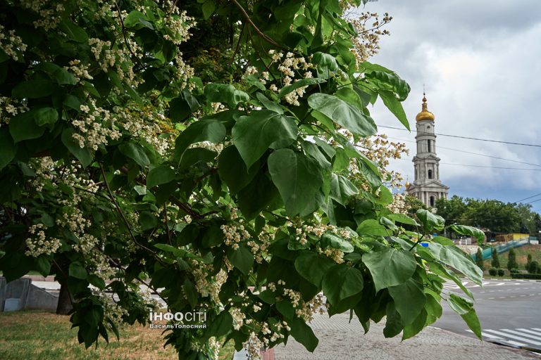 Новини Харкова — головне за 16 червня: як минула ніч