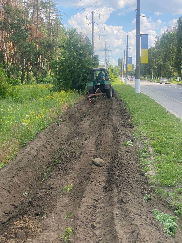 леса в Харькове