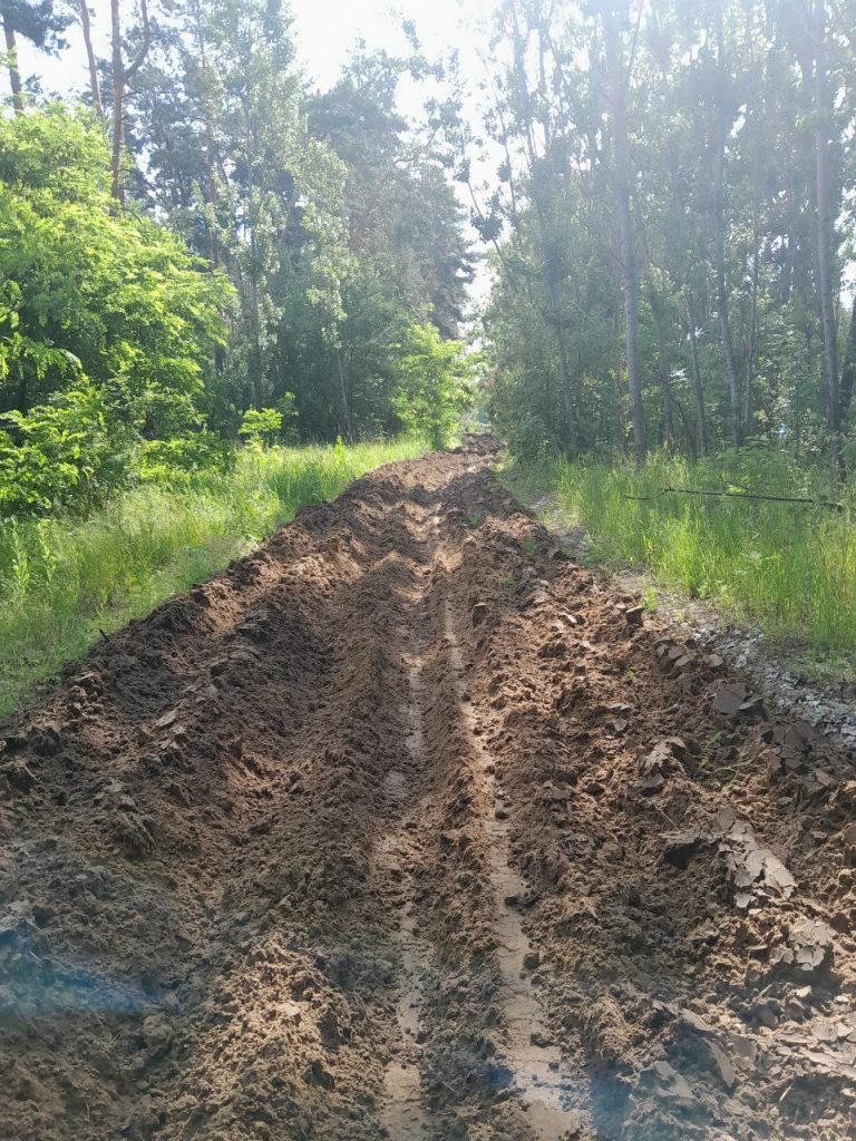 леса в Харькове