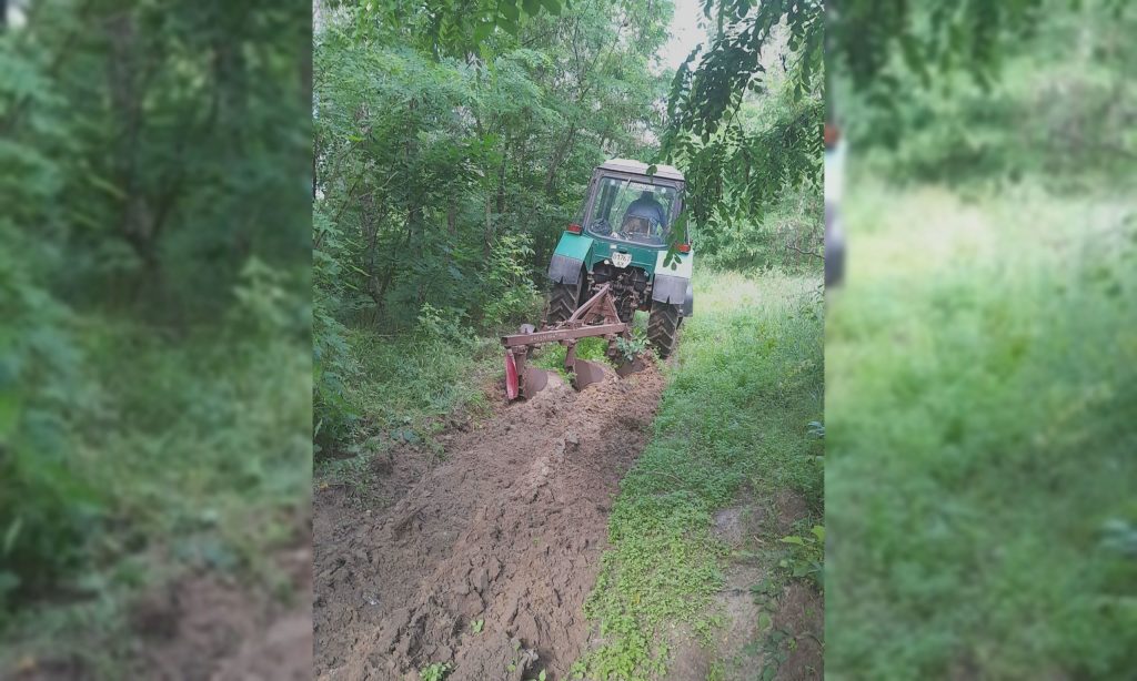 До харків’ян, які відпочивають у лісах, звернулись комунальники: подробиці