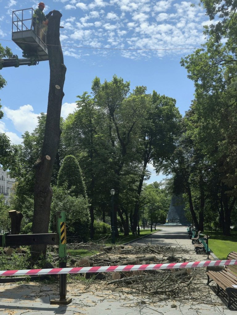 деревья спилили в Харькове