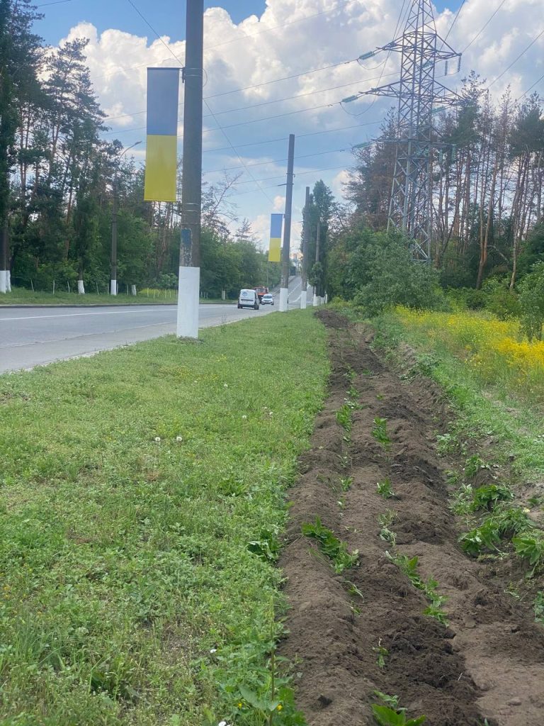 леса в Харькове