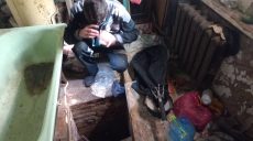 «Дом ужасов»: жилище харьковчанки шокировало зоозащитников (видео, фото)