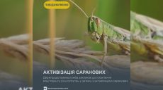 Госпродпотребслужба обратилась к аграриям Харьковщины: кто активизировался