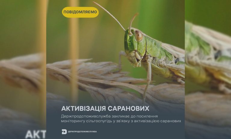 Госпродпотребслужба обратилась к аграриям Харьковщины: кто активизировался