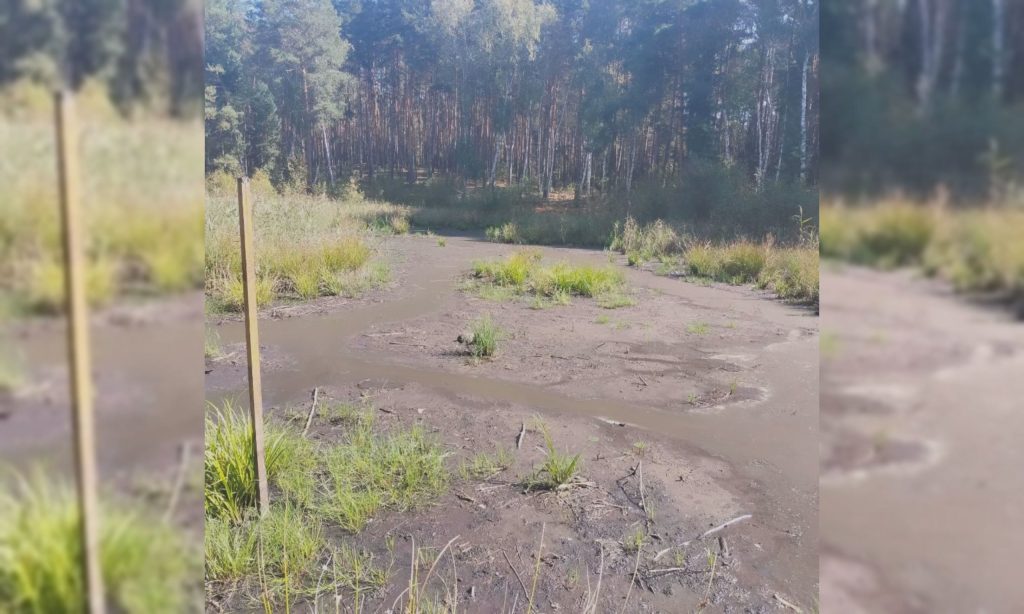 «Звонкий сигнал» об изменении климата на Харьковщине зафиксировали ученые 📷