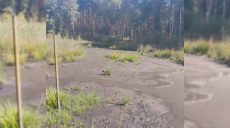 «Звонкий сигнал» об изменении климата на Харьковщине зафиксировали ученые 📷