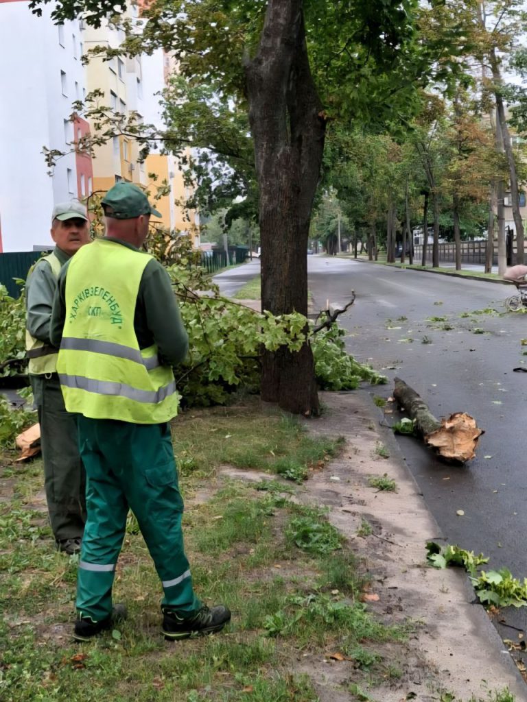 последствия ветра в Харькове