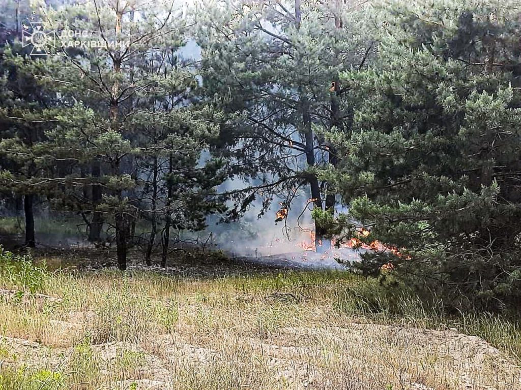 пожары на Изюмщине