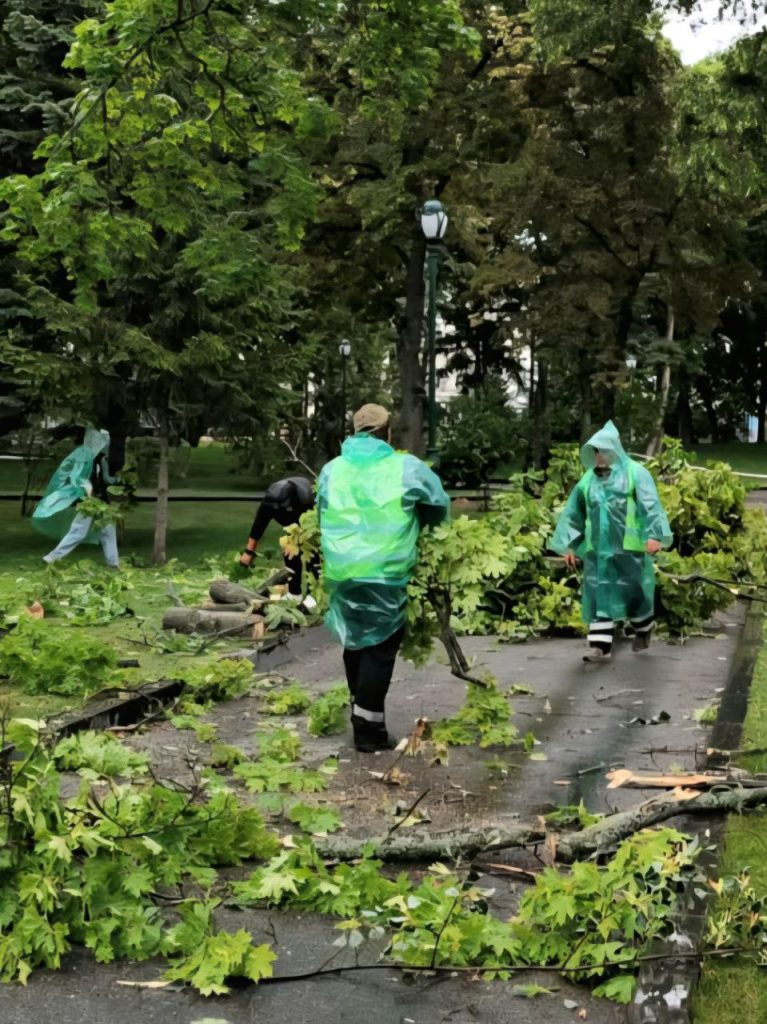 последствия ветра в Харькове