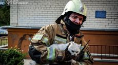 В Харькове горела 16-этажка: из задымленных квартир спасли двух котов (фото)