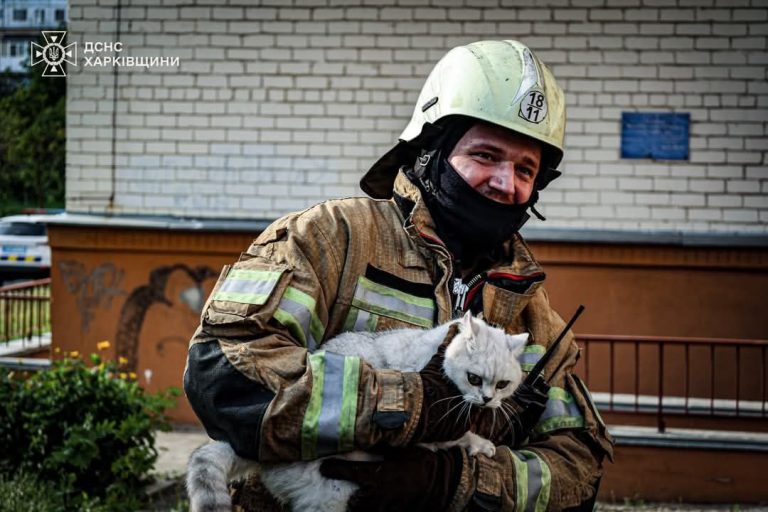 В Харькове горела 16-этажка: из задымленных квартир спасли двух котов (фото)