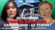 Особый экономический статус Харькова звучит громко, но утопия – Кинзбурская