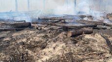 Что появится на месте выгоревших бора и лесополосы в Харькове: подробности