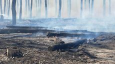 Лес вспыхнул на Харьковщине из-за российских обстрелов