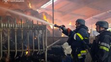 Двое раненых и убитые коровы – россияне КАБом ударили по ферме на Харьковщине