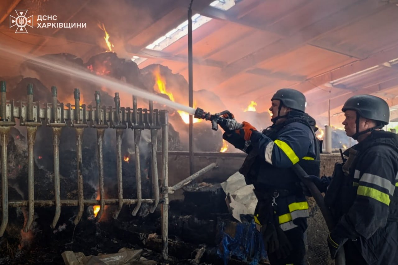 Двоє поранених і вбиті корови – росіяни КАБом вдарили по фермі на Харківщині