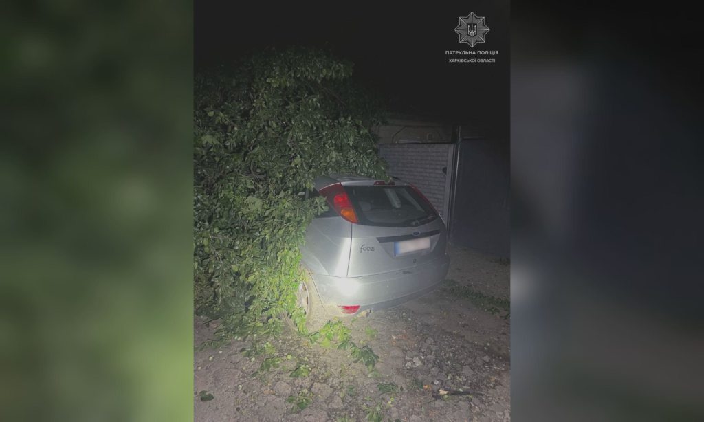Пьяный водитель врезался в дерево в Харькове ночью (фото)
