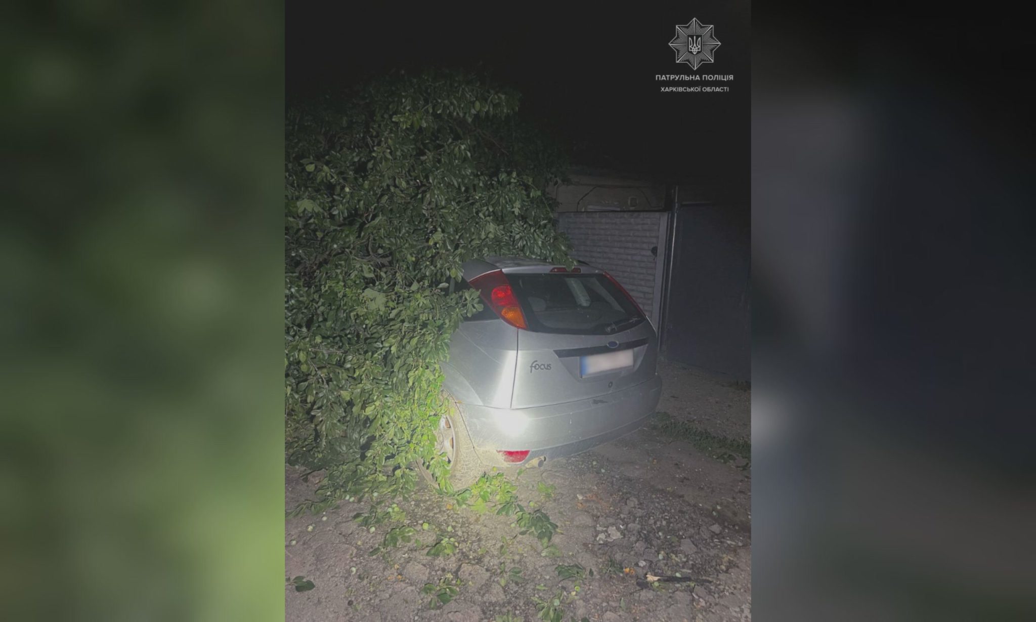 Пьяный водитель врезался в дерево в Харькове ночью (фото)