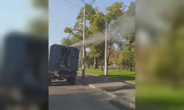 Завтра в Харькове начнут бороться с вредителями