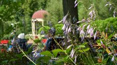 Новости Харькова — главное за 18 июля: удар по Чугуеву, есть раненые