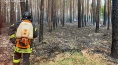 На Харьковщине начался уже седьмой лесной пожар из-за обстрела — ГСЧС