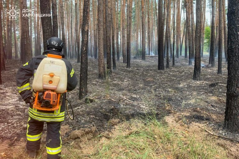 На Харківщині розпочалася вже сьома лісова пожежа через обстріл – ДСНС