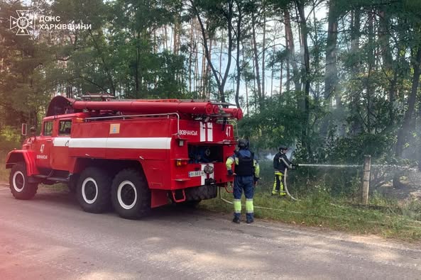 лісова пожежа у Старосалтівській громаді 3