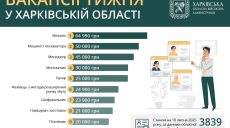 Работа в Харькове и области: зарплаты до 64000 грн, топ-10 вакансий недели